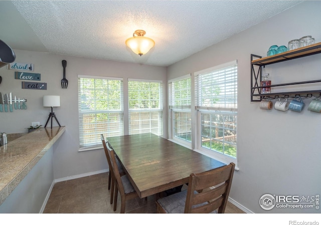 dining space featuring a textured ceiling, baseboards, and a healthy amount of sunlight
