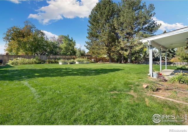 view of yard featuring a patio and a fenced backyard
