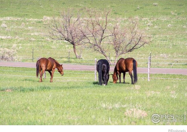6085 Spring Glade Rd, Loveland, CO 80538 - photo 38