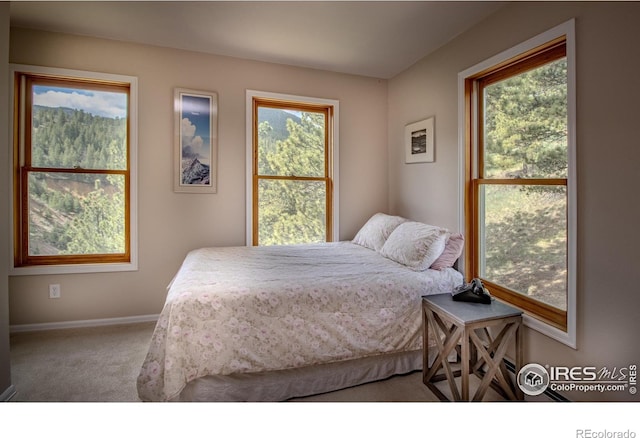 carpeted bedroom with baseboards