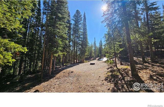 2320 Ottawa Way, Red Feather Lakes, CO 80545