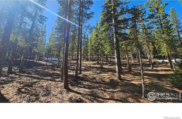 2320 Ottawa Way, Red Feather Lakes, CO 80545