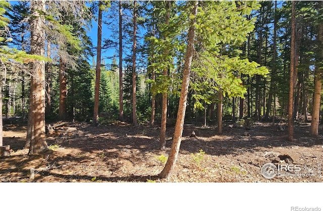 2320 Ottawa Way, Red Feather Lakes, CO 80545