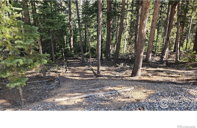 2320 Ottawa Way, Red Feather Lakes, CO 80545