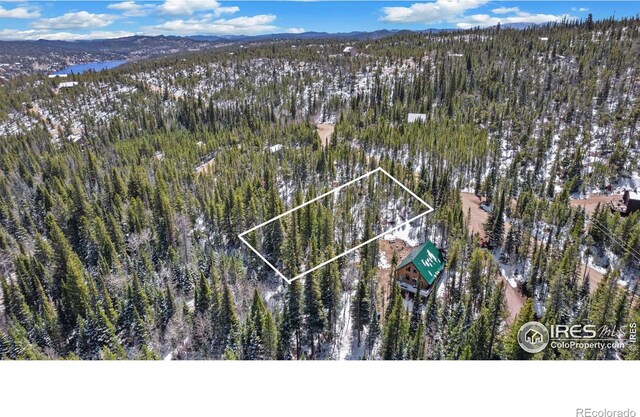 2320 Ottawa Way, Red Feather Lakes, CO 80545
