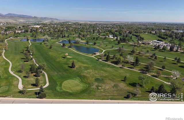 2809 Gilpin Ave, Loveland, CO 80538 - photo 31
