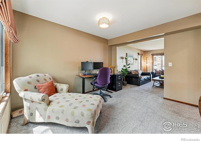 2819 Seccomb St, Fort Collins, CO 80526 - carpeted office space featuring baseboards