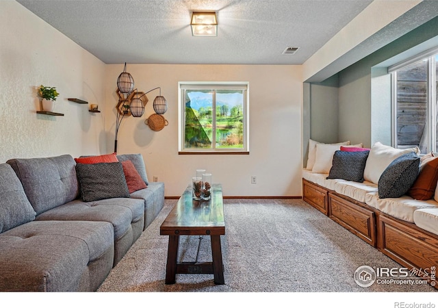 2819 Seccomb St, Fort Collins, CO 80526 - carpeted living area with healthy amount of natural light and a textured ceiling