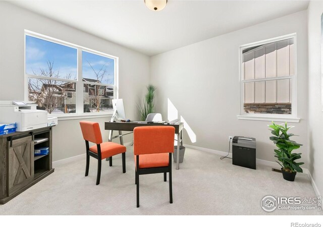 706 Greenfields Dr, Fort Collins, CO 80524 - photo 8
