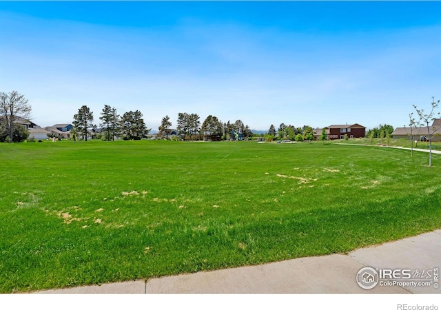 706 Greenfields Dr, Fort Collins, CO 80524 - photo 16