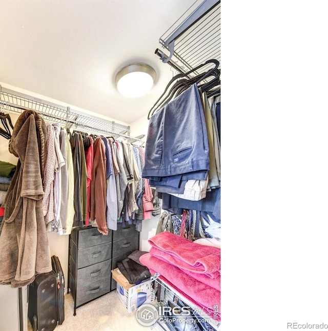 spacious closet featuring carpet floors