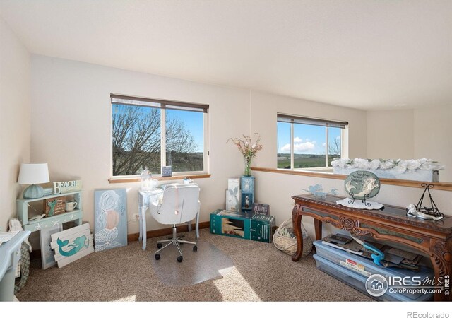 7084 Sumner St, Wellington, CO 80549 - view of carpeted home office