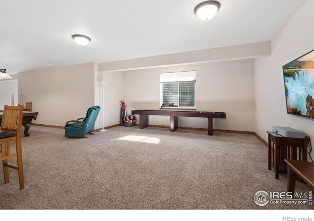7084 Sumner St, Wellington, CO 80549 - sitting room with carpet and baseboards