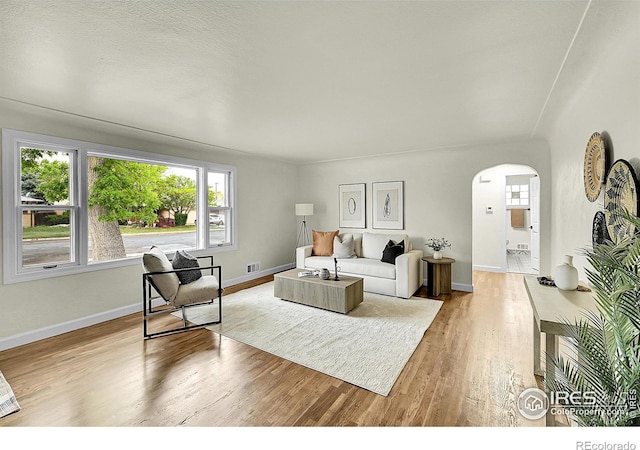 1206 23rd Avenue Ct, Greeley, CO 80634 - living room featuring arched walkways, healthy amount of natural light, light wood-type flooring, and baseboards