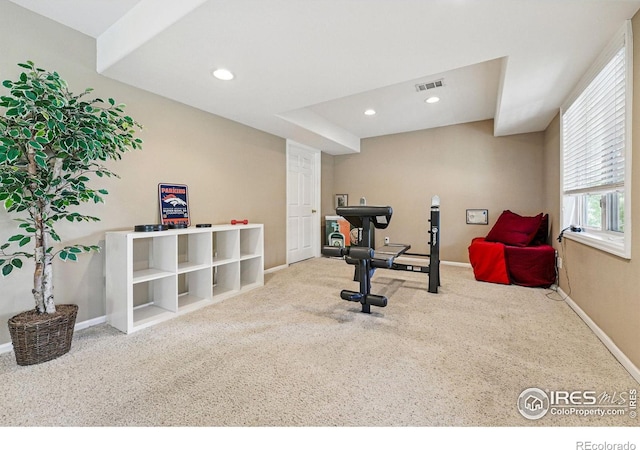 10305 Charissglen Cir, Highlands Ranch, CO 80126 - workout area with carpet floors and recessed lighting