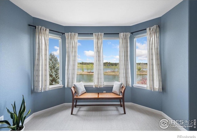 sitting room with baseboards, a wealth of natural light, and carpet floors