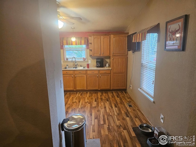 kitchen with a sink, light countertops, a healthy amount of sunlight, and wood finished floors