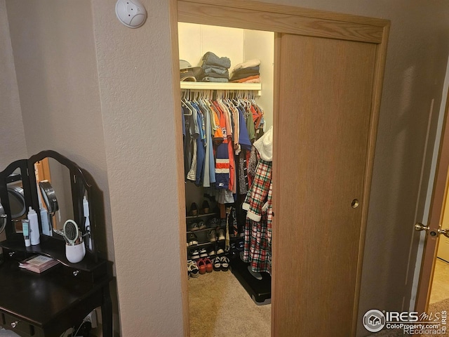 spacious closet featuring carpet flooring