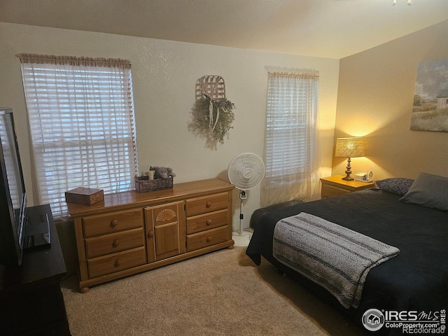 bedroom featuring carpet flooring