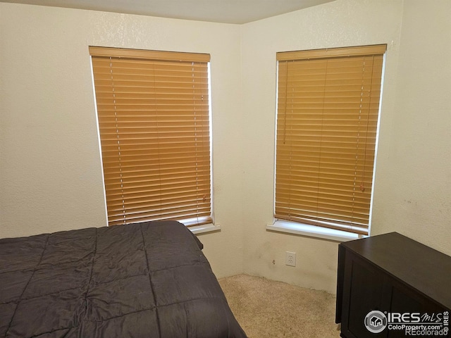 bedroom with carpet floors