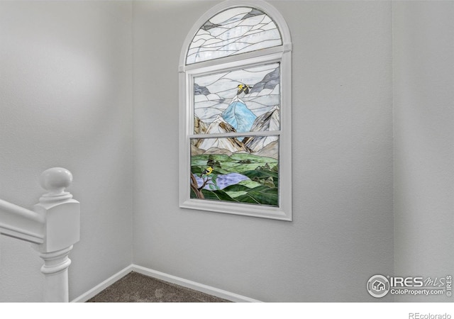 details featuring baseboards and carpet flooring