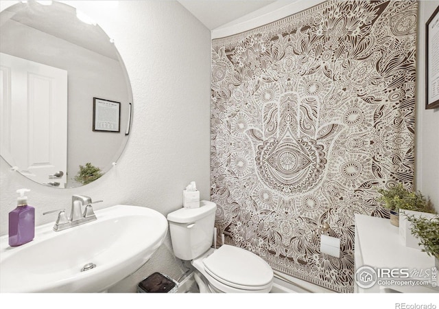 bathroom featuring a sink and toilet