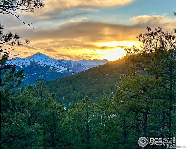 3561 Sunshine Canyon Dr, Boulder, CO 80302 - photo 8