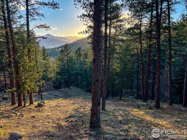 3561 Sunshine Canyon Dr, Boulder, CO 80302 - photo 11