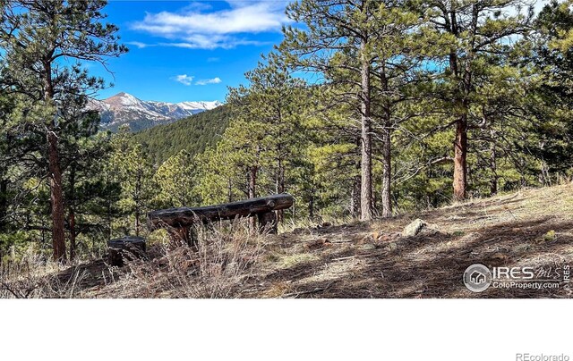 3561 Sunshine Canyon Dr, Boulder, CO 80302 - photo 6