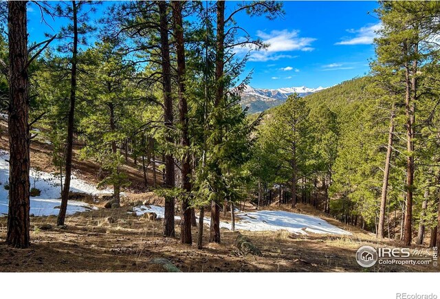 3561 Sunshine Canyon Dr, Boulder, CO 80302 - photo 10