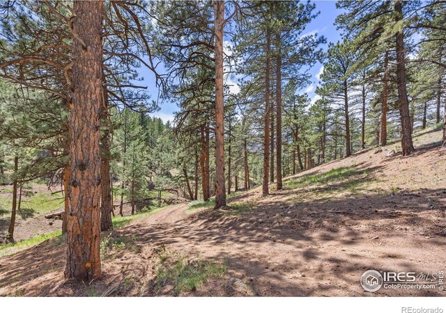 3561 Sunshine Canyon Dr, Boulder, CO 80302 - photo 7