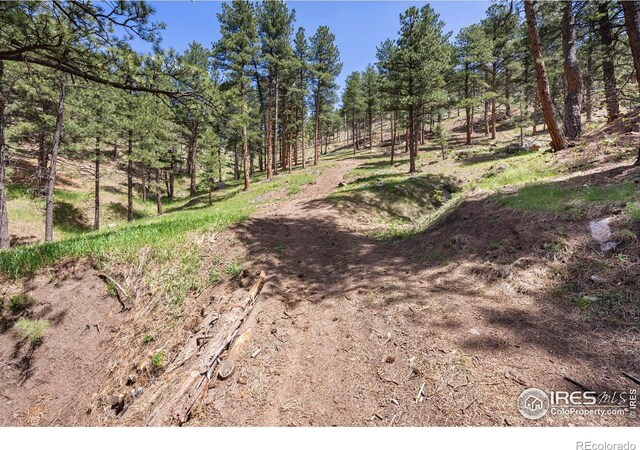 3561 Sunshine Canyon Dr, Boulder, CO 80302 - photo 14