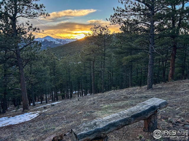 3561 Sunshine Canyon Dr, Boulder, CO 80302 - photo 15