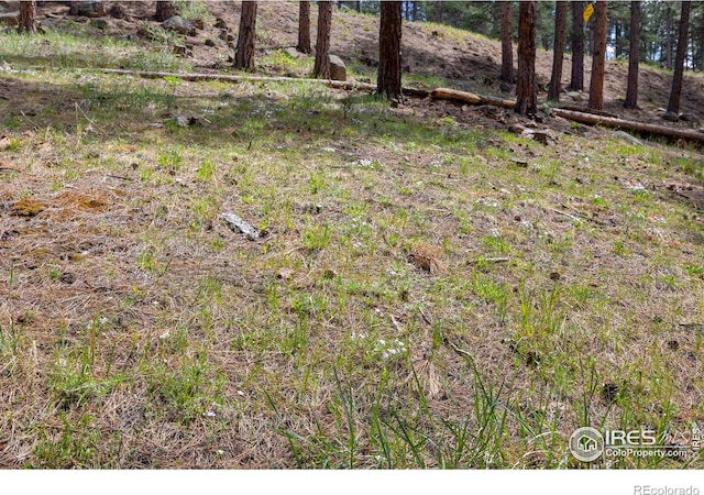 3561 Sunshine Canyon Dr, Boulder, CO 80302 - photo 21