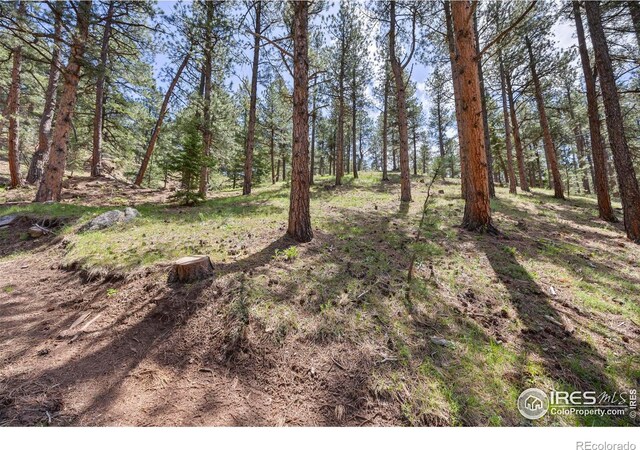 3561 Sunshine Canyon Dr, Boulder, CO 80302 - photo 22