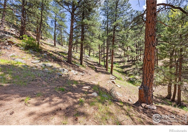 3561 Sunshine Canyon Dr, Boulder, CO 80302 - photo 23