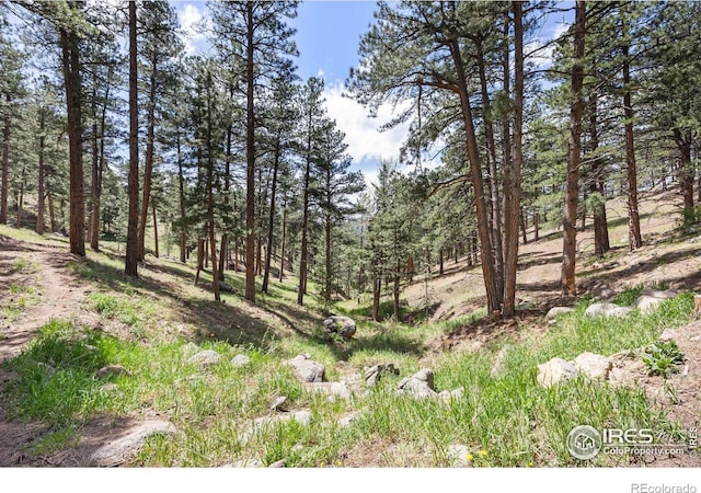 3561 Sunshine Canyon Dr, Boulder, CO 80302 - photo 24