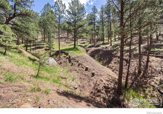 3561 Sunshine Canyon Dr, Boulder, CO 80302 - photo 27