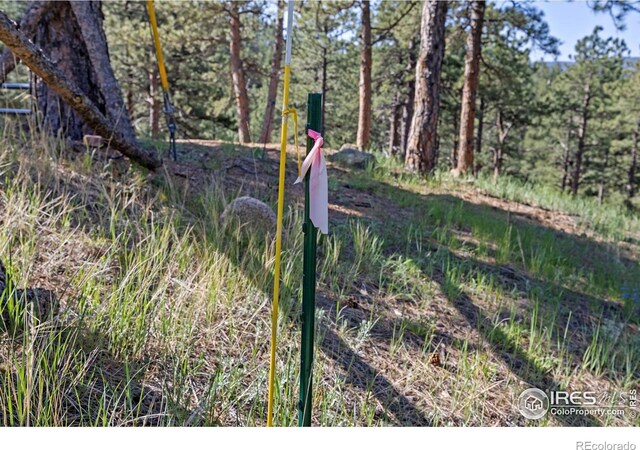 3561 Sunshine Canyon Dr, Boulder, CO 80302 - photo 29