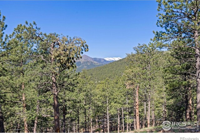 3561 Sunshine Canyon Dr, Boulder, CO 80302 - photo 30