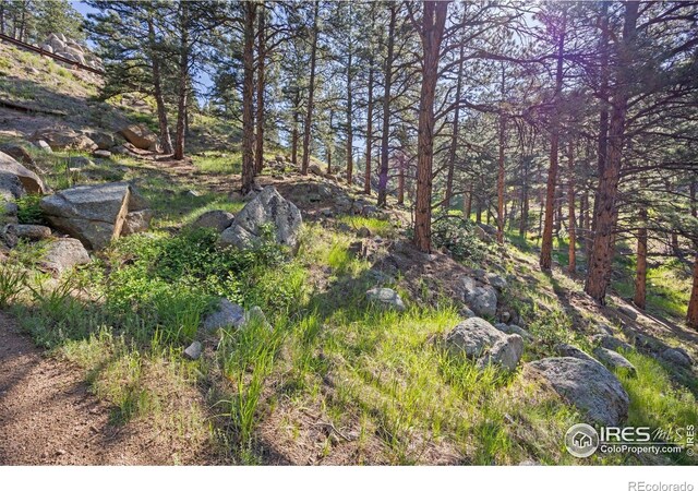 3561 Sunshine Canyon Dr, Boulder, CO 80302 - photo 31
