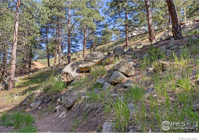 3561 Sunshine Canyon Dr, Boulder, CO 80302 - photo 32