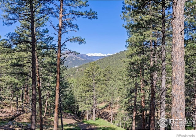3561 Sunshine Canyon Dr, Boulder, CO 80302 - photo 33