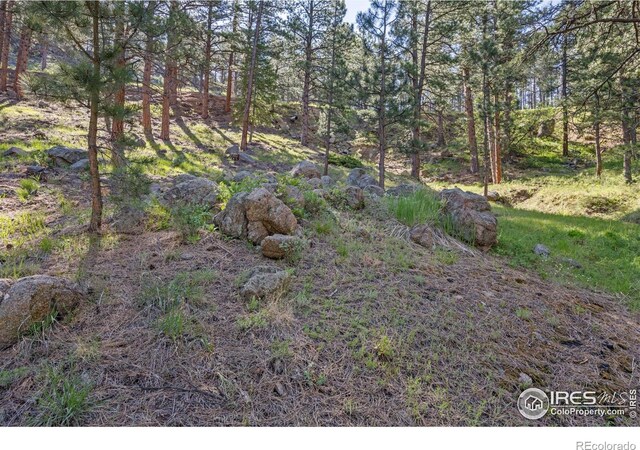 3561 Sunshine Canyon Dr, Boulder, CO 80302 - photo 35