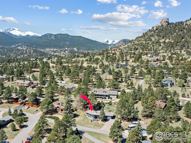 1411 Vail Ct, Estes Park, CO 80517