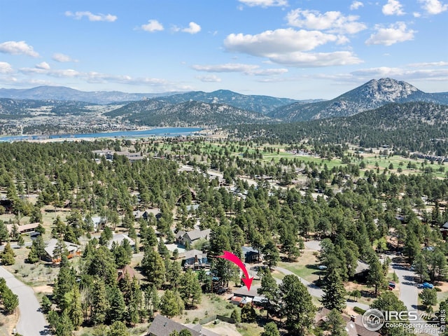 1411 Vail Ct, Estes Park, CO 80517