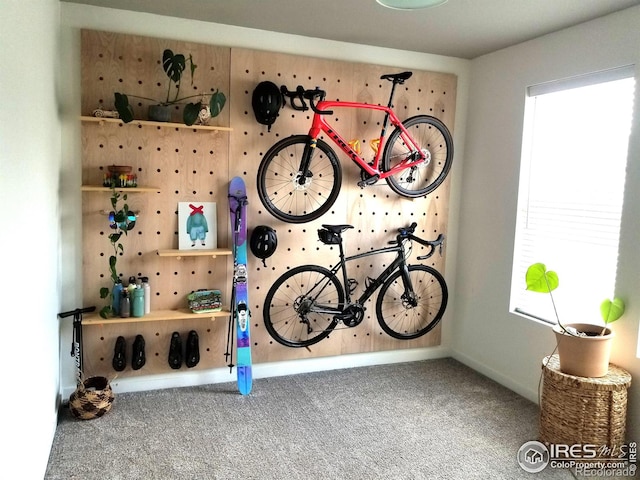 interior space featuring carpet