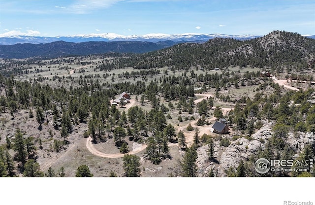 bird's eye view of a mountainous background