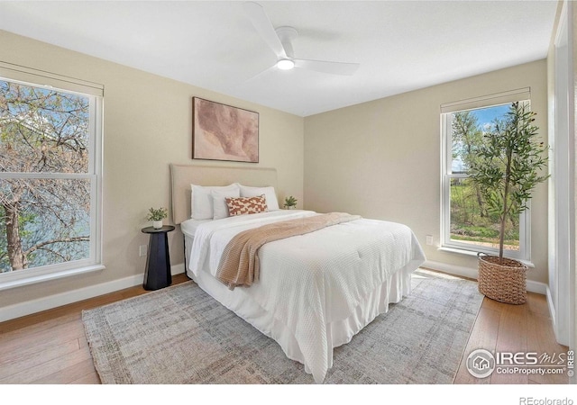 536 W Sycamore Cir, Louisville, CO 80027 - bedroom with multiple windows, wood finished floors, and baseboards