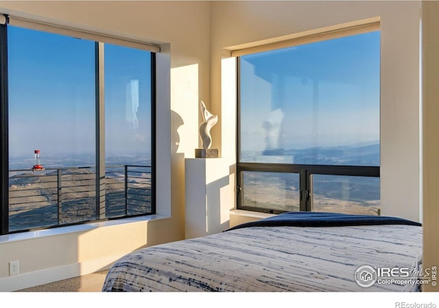 9360 Gold Mine Rd, Loveland, CO 80538 - bedroom featuring speckle patterned floor and a water view
